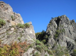 Paysage Horizon Canyon